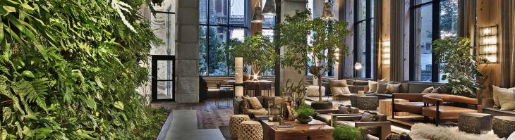 Living plant wall in Brooklyn Bridge lobby